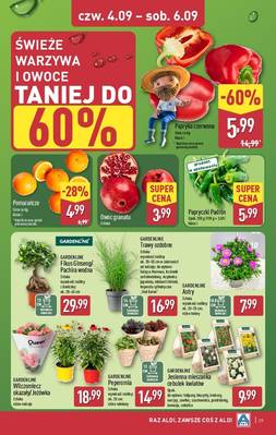 Katalog Aldi 