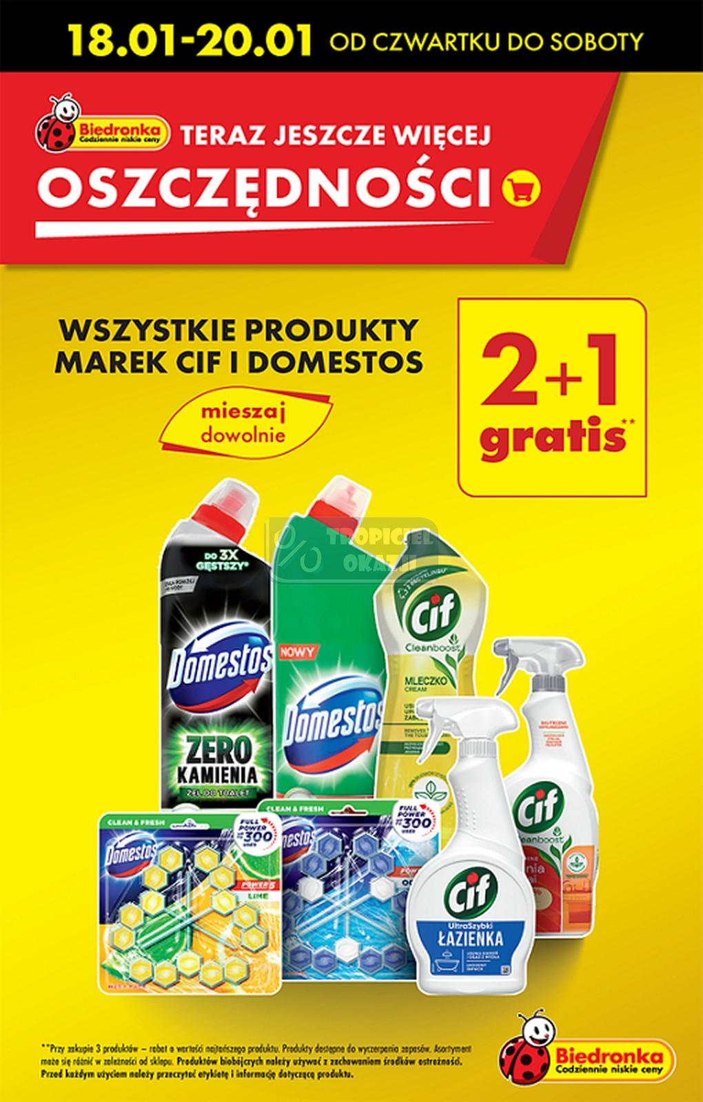 Gazetka promocyjna Biedronka do 24/01/2024 str.17