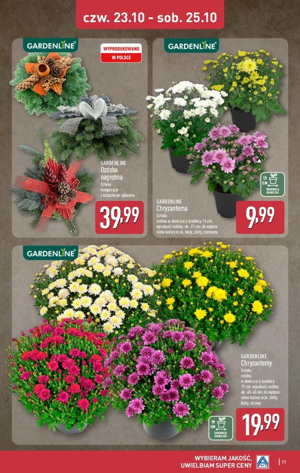 Gazetka promocyjna ALDI do 25/10/2025 str.11