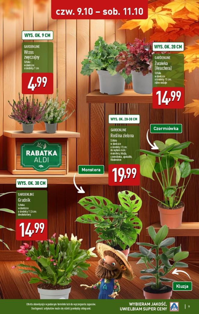 Gazetka promocyjna ALDI do 11/10/2025 str.9