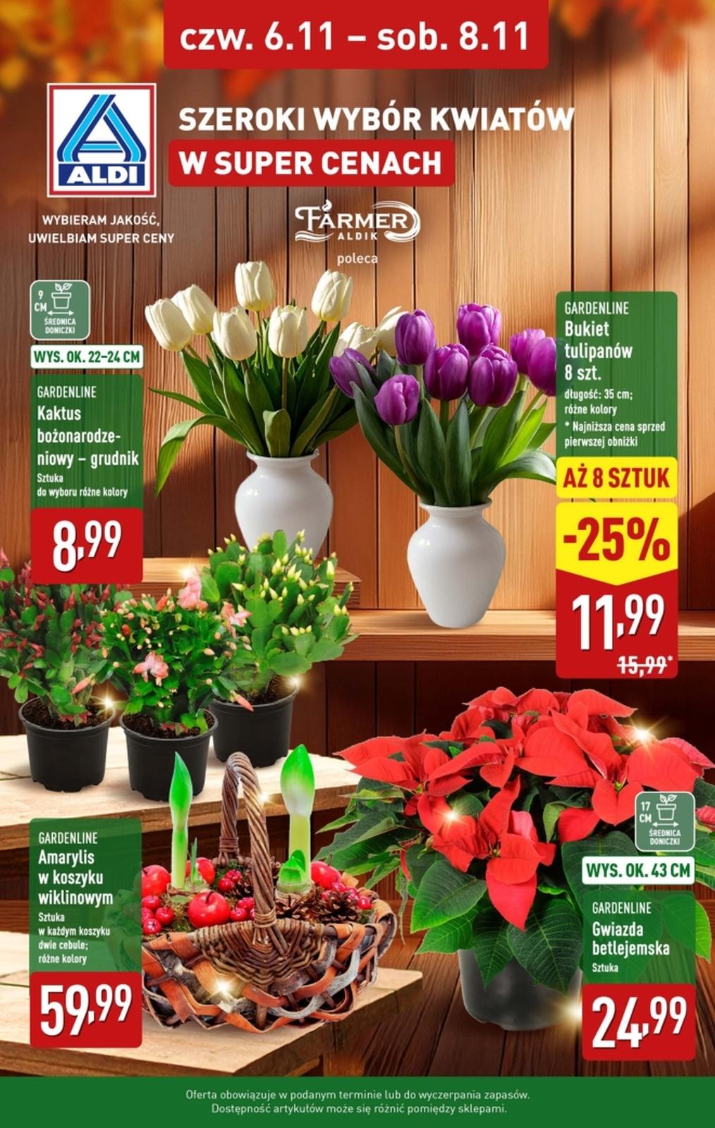 Gazetka promocyjna ALDI do 08/11/2025 str.1