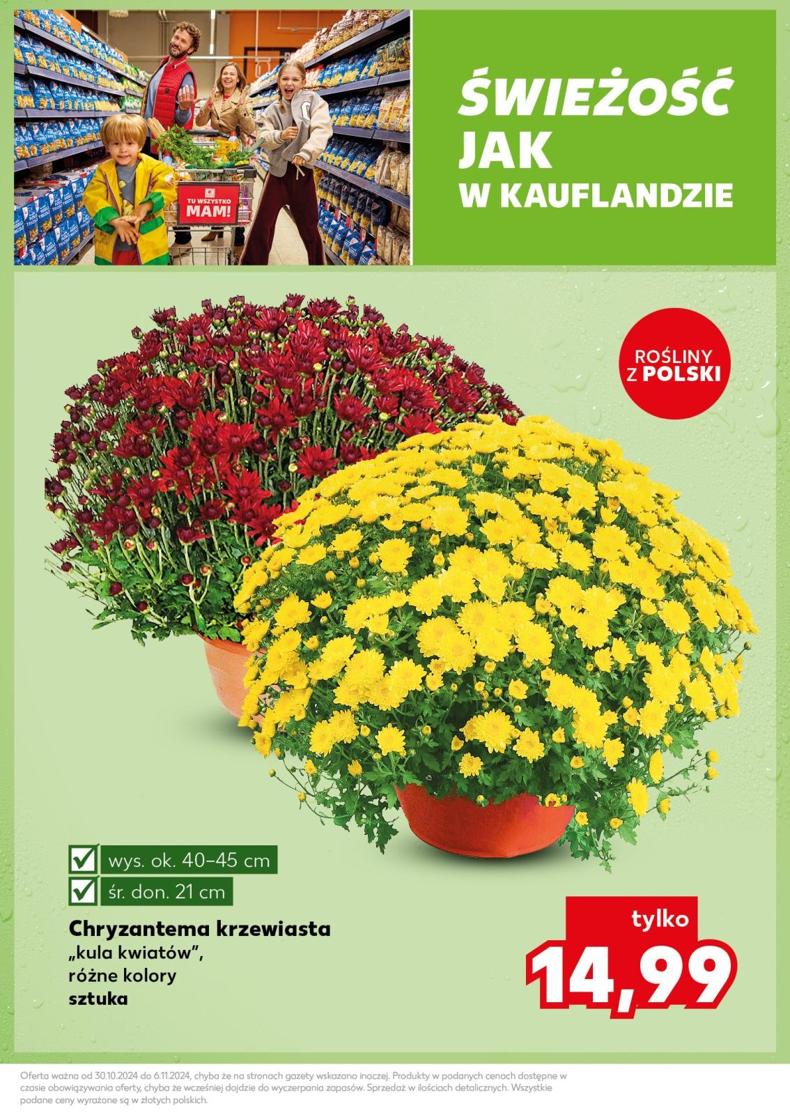 Gazetka promocyjna Kaufland do 06/11/2024 str.7