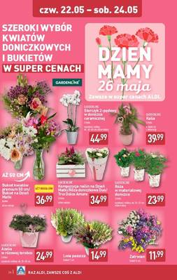 Katalog Aldi 