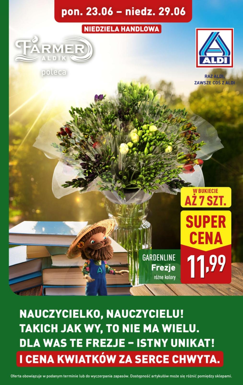 Gazetka promocyjna ALDI do 29/06/2025 str.1