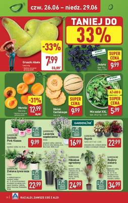 Katalog Aldi 