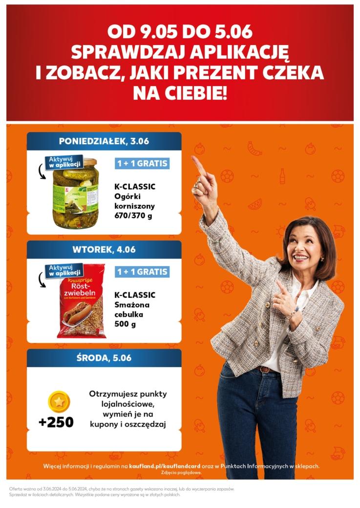 Gazetka promocyjna Kaufland do 05/06/2024 str.13