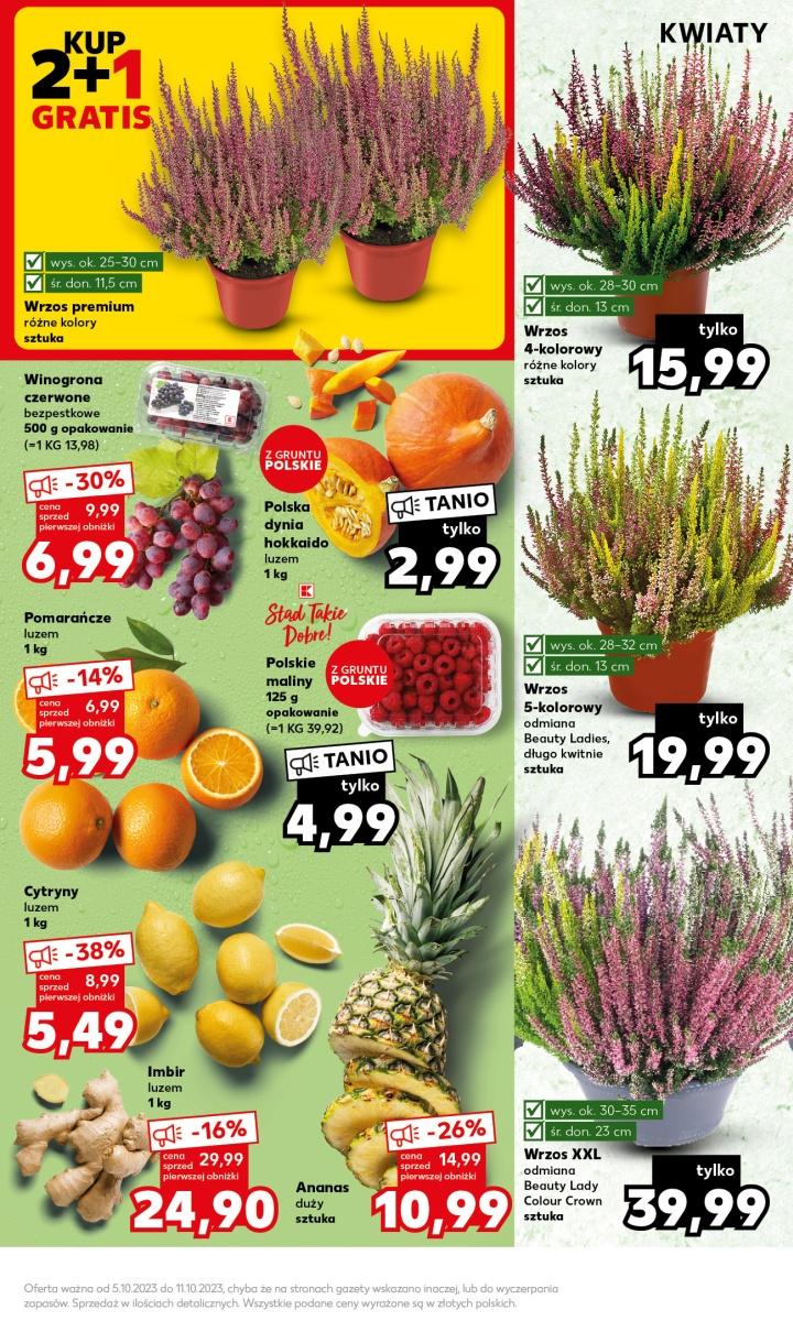 Gazetka promocyjna Kaufland do 11/10/2023 str.5