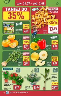 Katalog Aldi