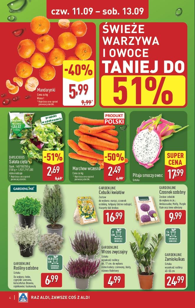 Gazetka promocyjna ALDI do 13/09/2025 str.4