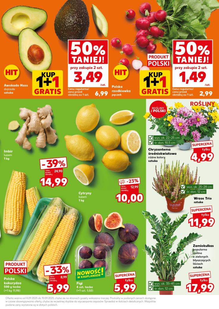 Gazetka promocyjna Kaufland do 10/09/2025 str.13