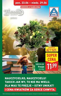 Katalog Aldi 