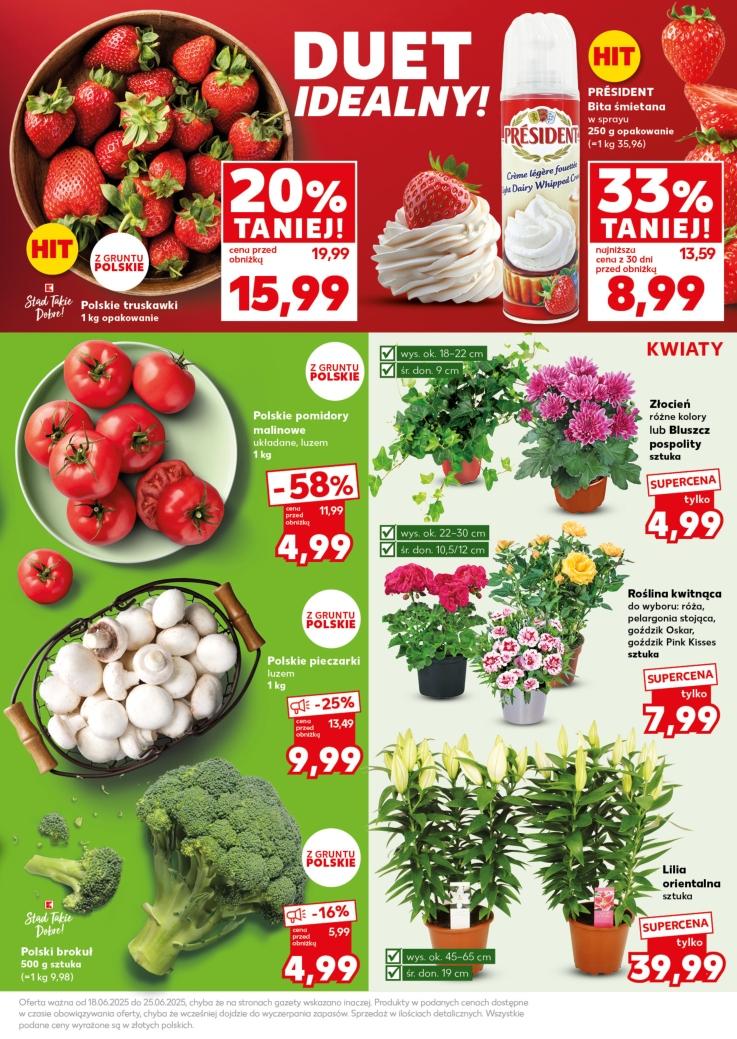 Gazetka promocyjna Kaufland do 25/06/2025 str.13
