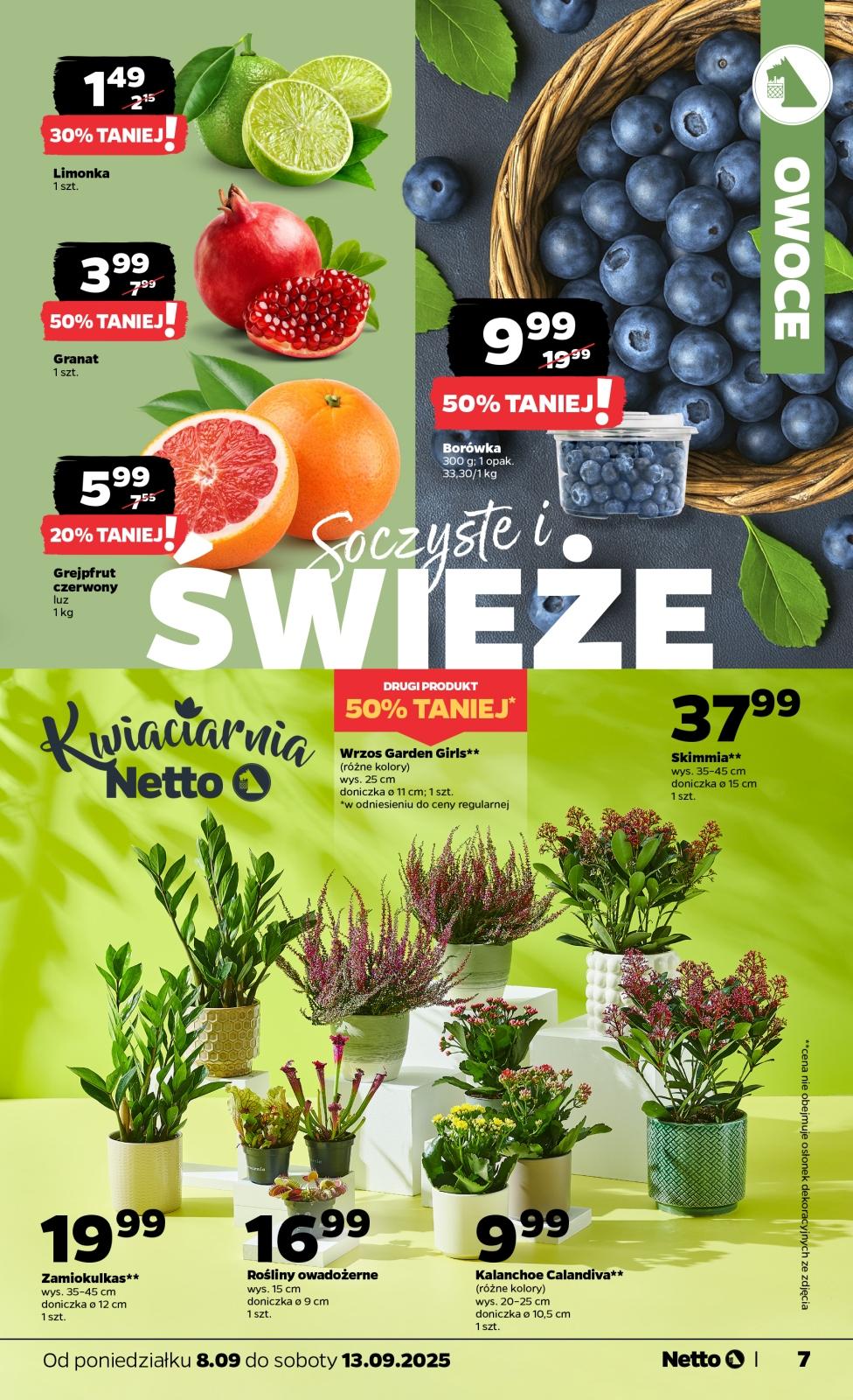 Gazetka promocyjna Netto do 13/09/2025 str.7