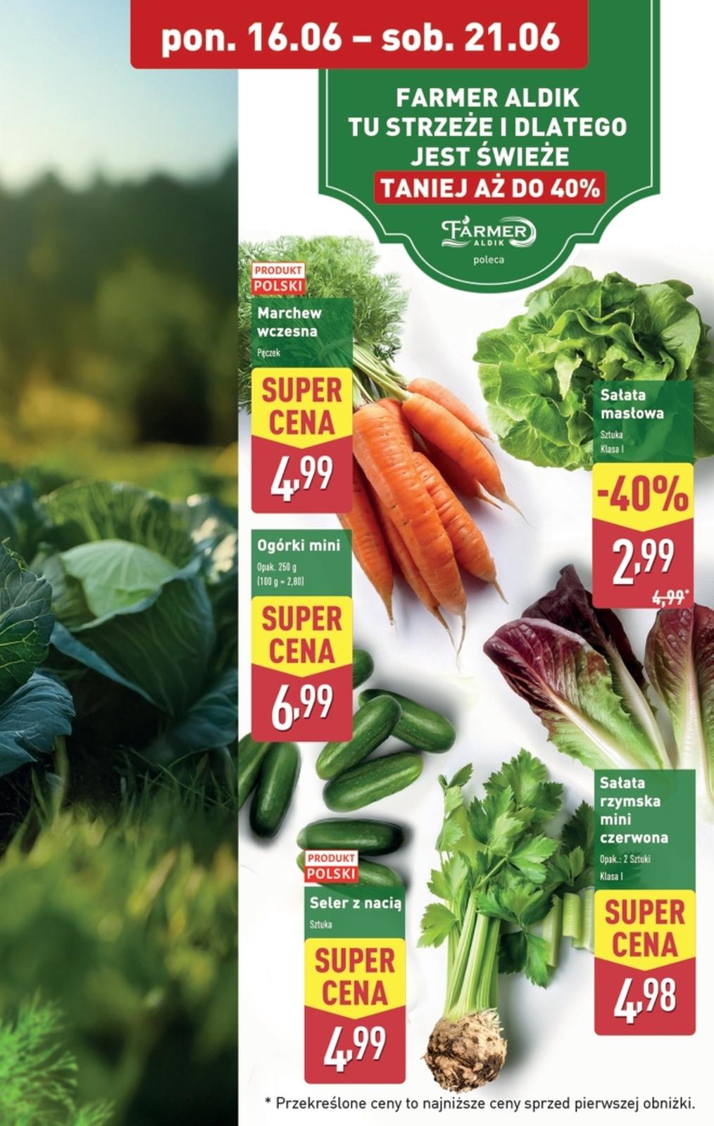 Gazetka promocyjna ALDI do 21/06/2025 str.5