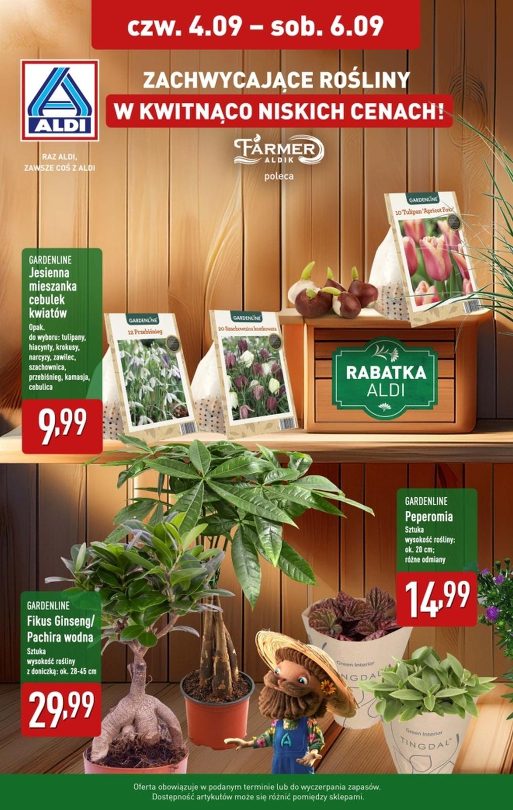 Gazetka promocyjna ALDI do 06/09/2025 str.1