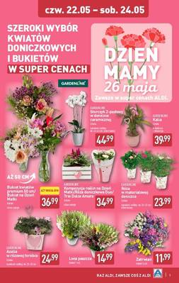 Aldi weekend