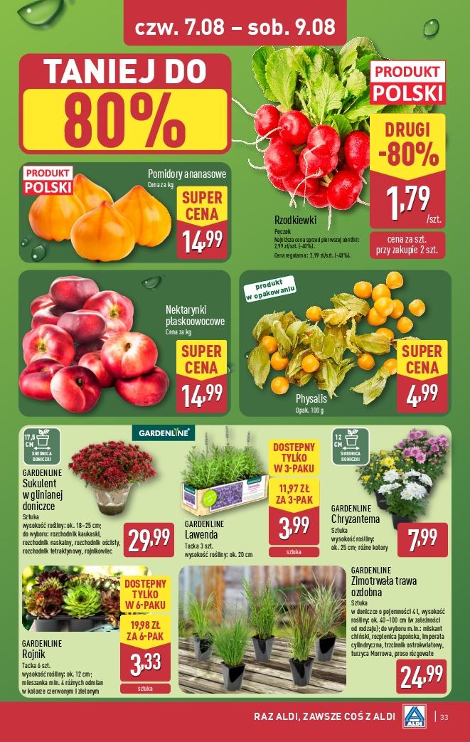 Gazetka promocyjna ALDI do 09/08/2025 str.33