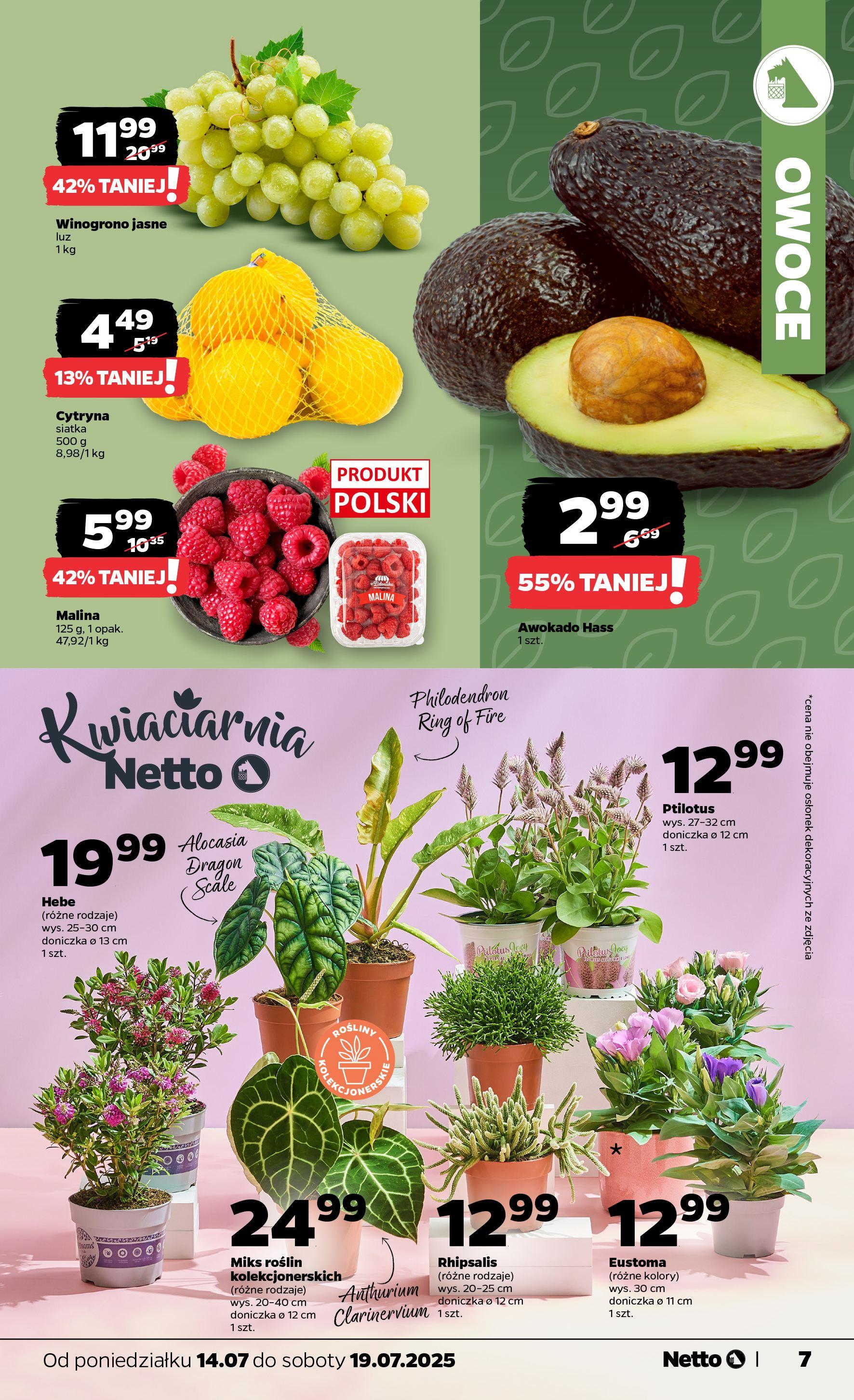 Gazetka promocyjna Netto do 19/07/2025 str.7