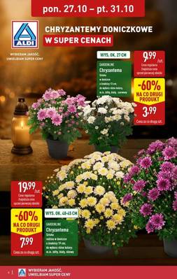 Aldi Katalog