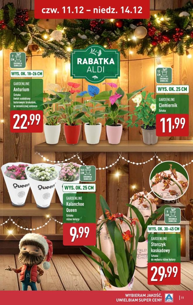 Gazetka promocyjna ALDI do 14/12/2025 str.11