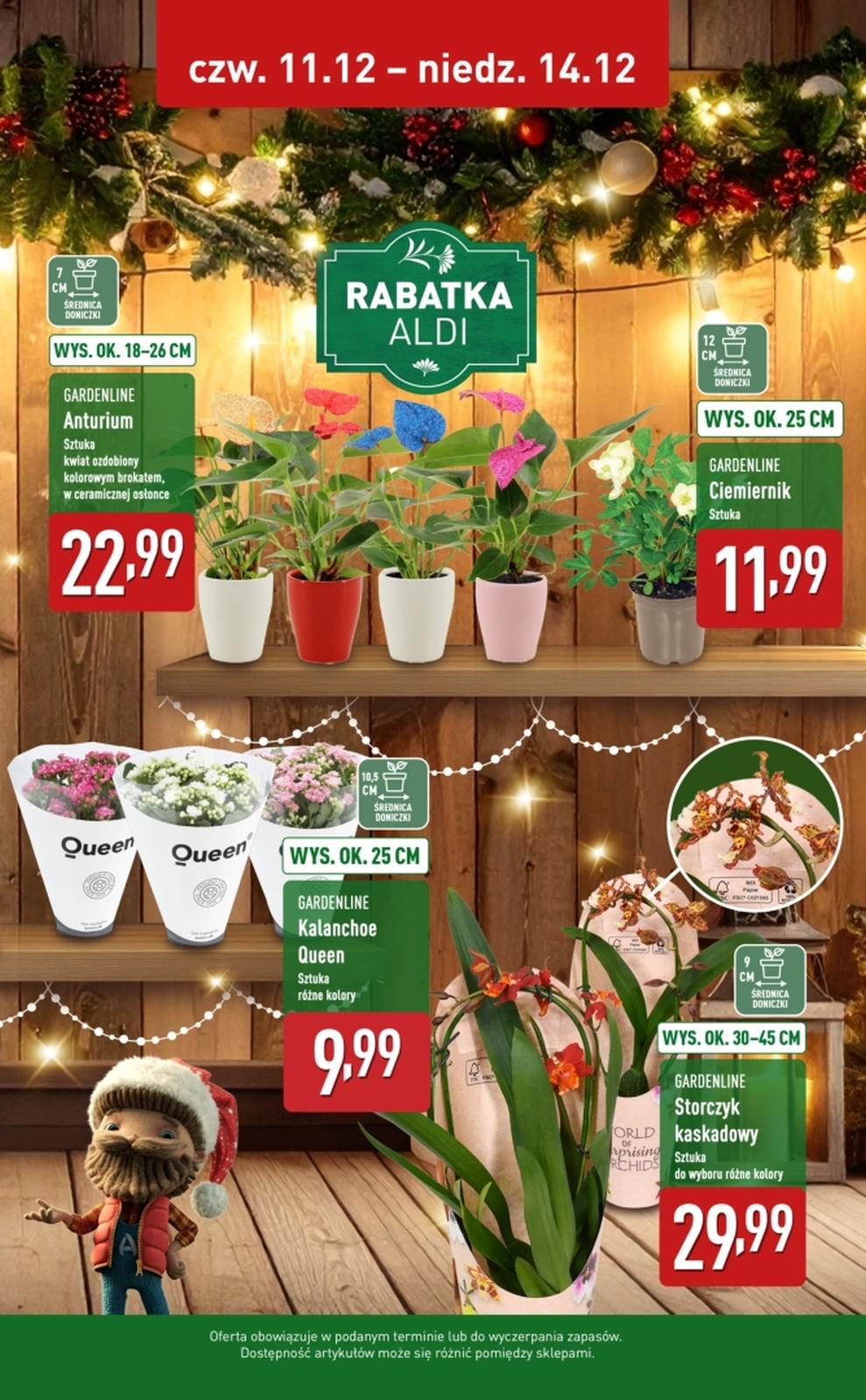 Gazetka promocyjna ALDI do 14/12/2025 str.2