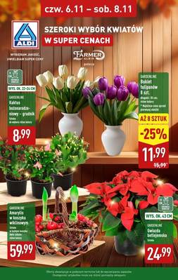 Aldi kwiaty 