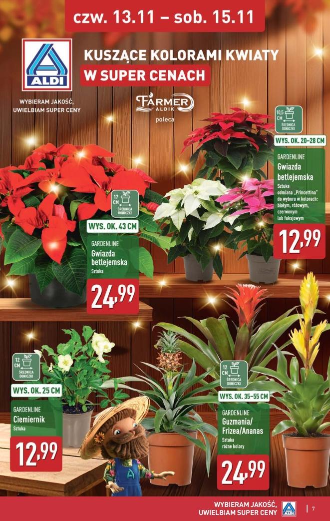 Gazetka promocyjna ALDI do 15/11/2025 str.7