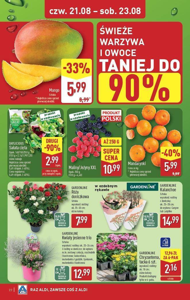 Gazetka promocyjna ALDI do 23/08/2025 str.22