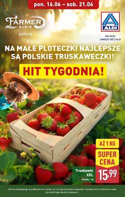 Aldi truskawki 