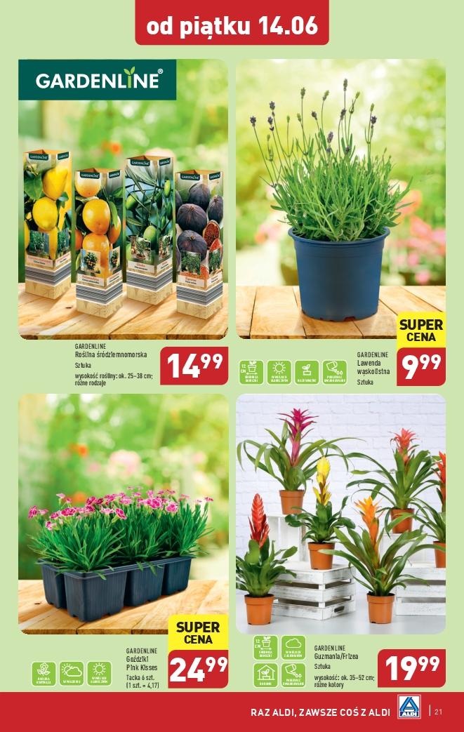 Gazetka promocyjna ALDI do 15/06/2024 str.21