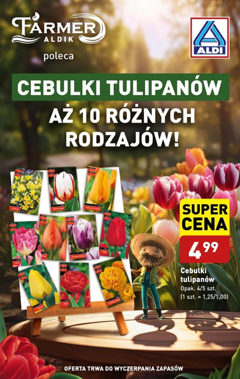 Gazetka promocyjna ALDI do 05/10/2024 str.7