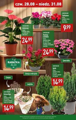 Aldi weekend 