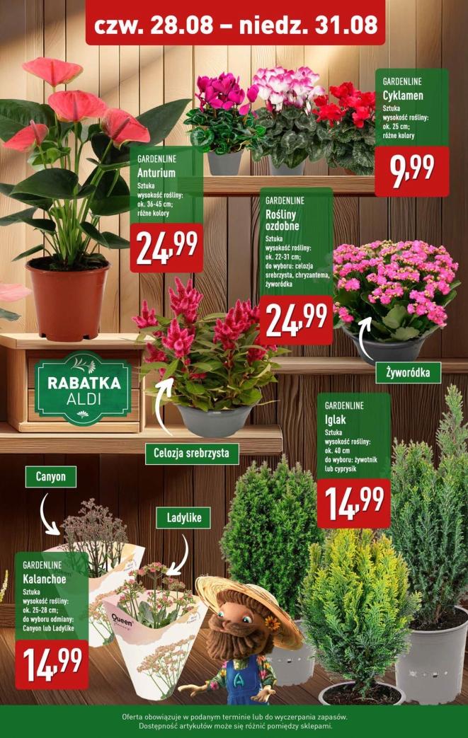 Gazetka promocyjna ALDI do 31/08/2025 str.9