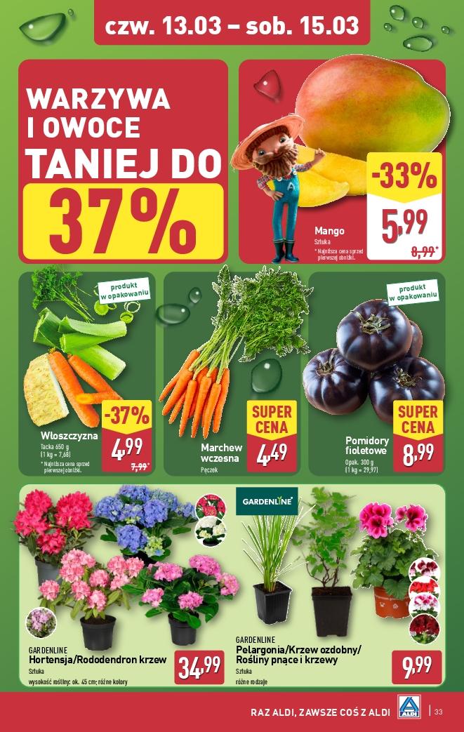 Gazetka promocyjna ALDI do 15/03/2025 str.33