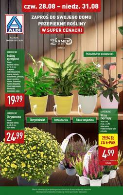 Aldi weekend 