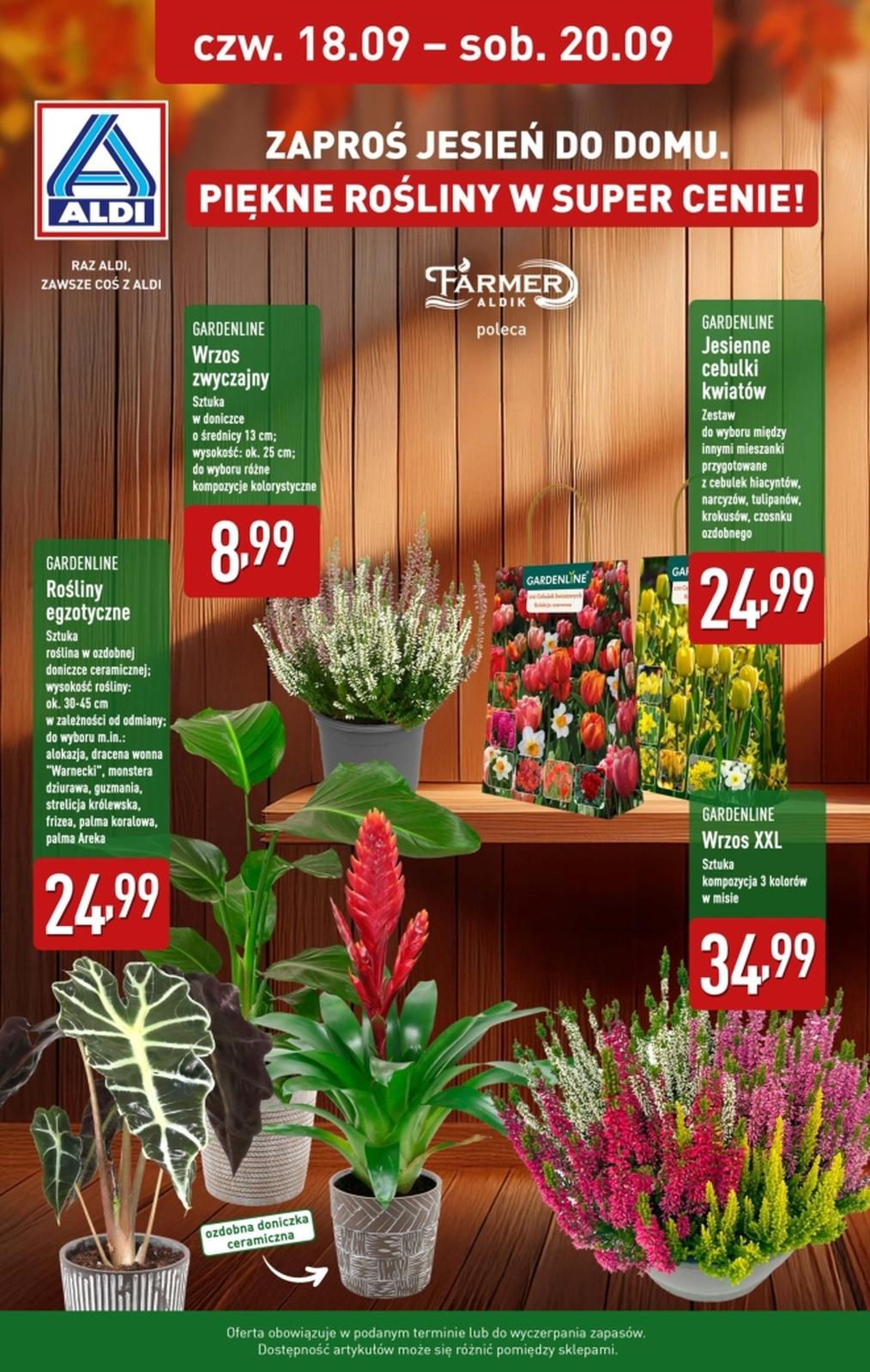 Gazetka promocyjna ALDI do 20/09/2025 str.2