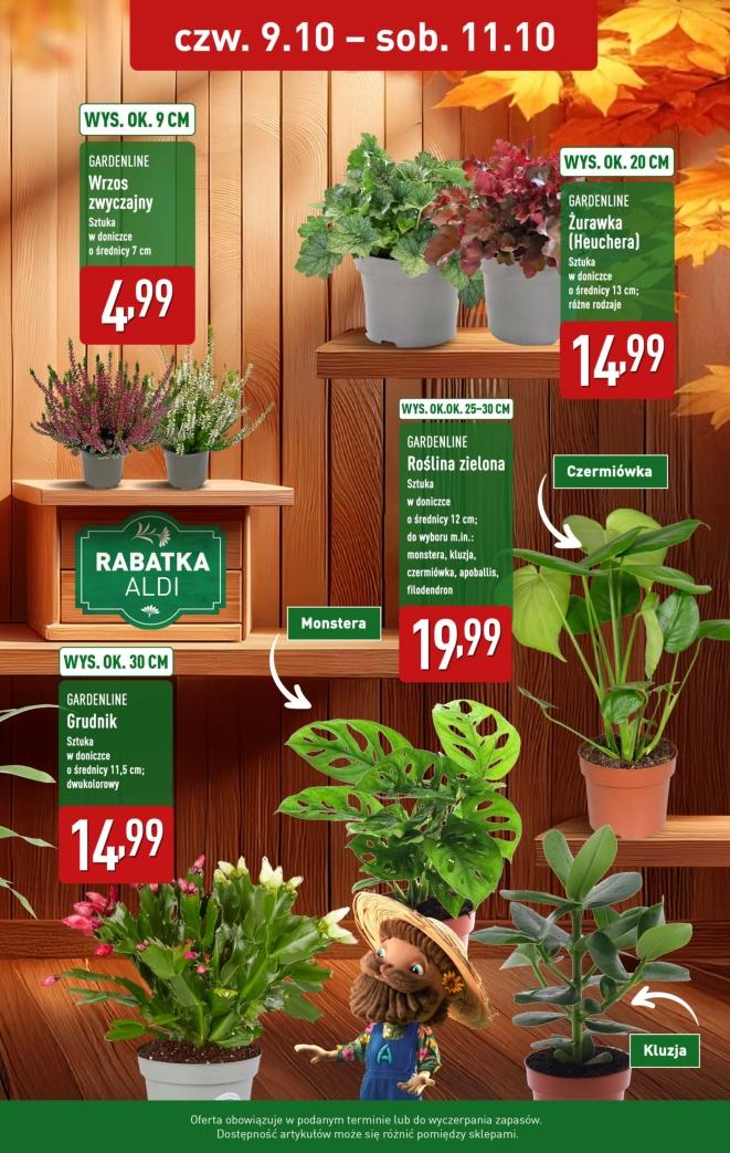 Gazetka promocyjna ALDI do 11/10/2025 str.2