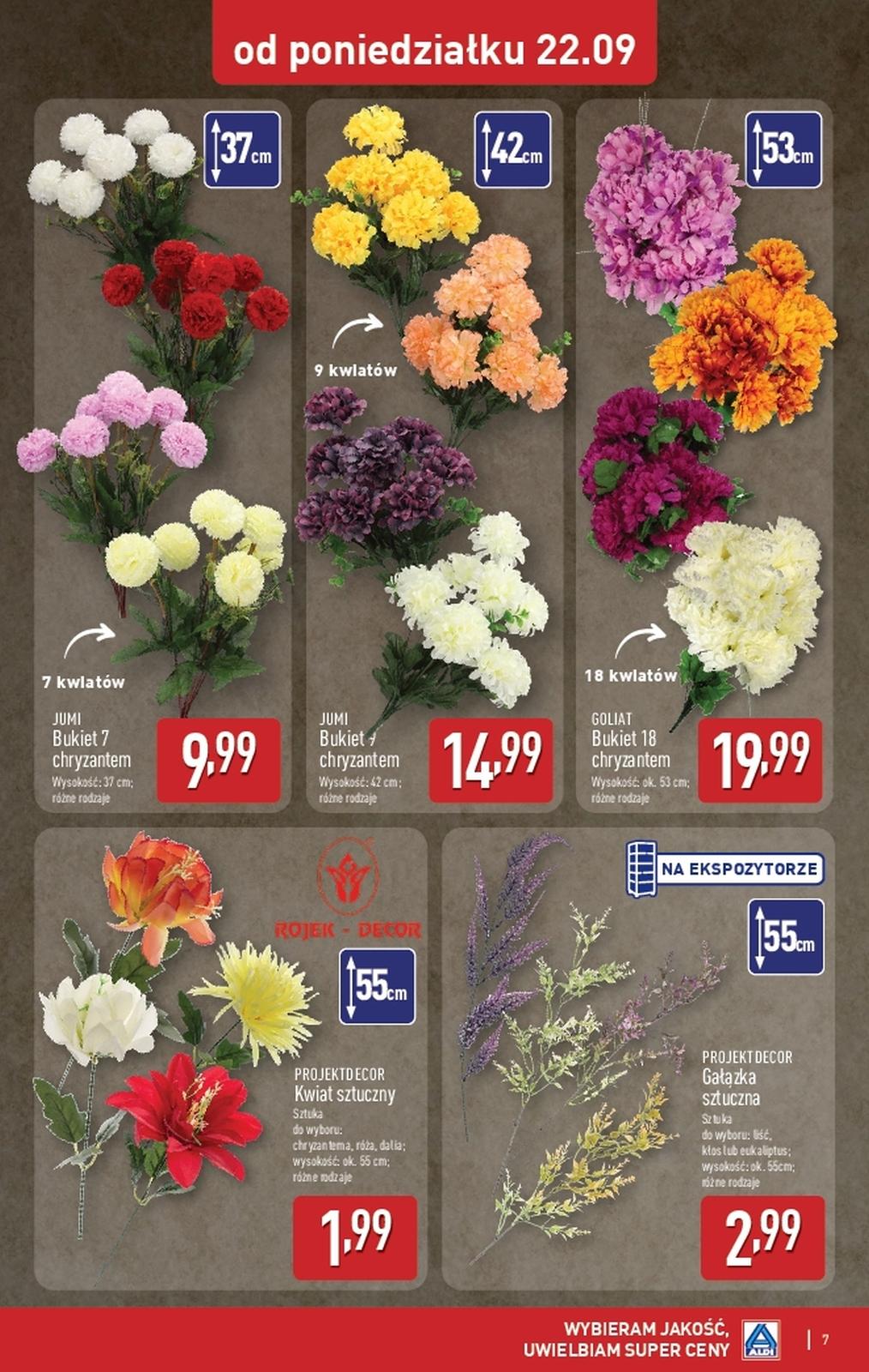 Gazetka promocyjna ALDI do 27/09/2025 str.7