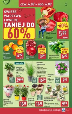 Katalog Aldi 