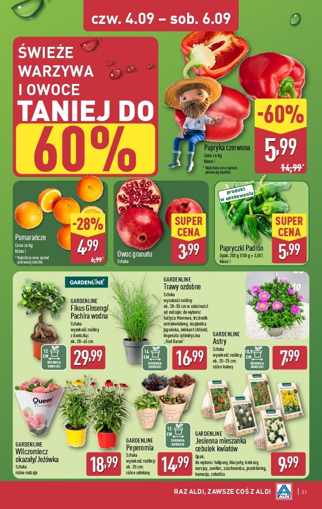 Gazetka promocyjna ALDI do 06/09/2025 str.31