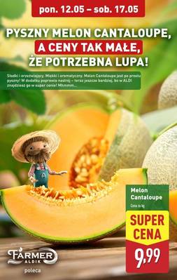 Katalog Aldi 