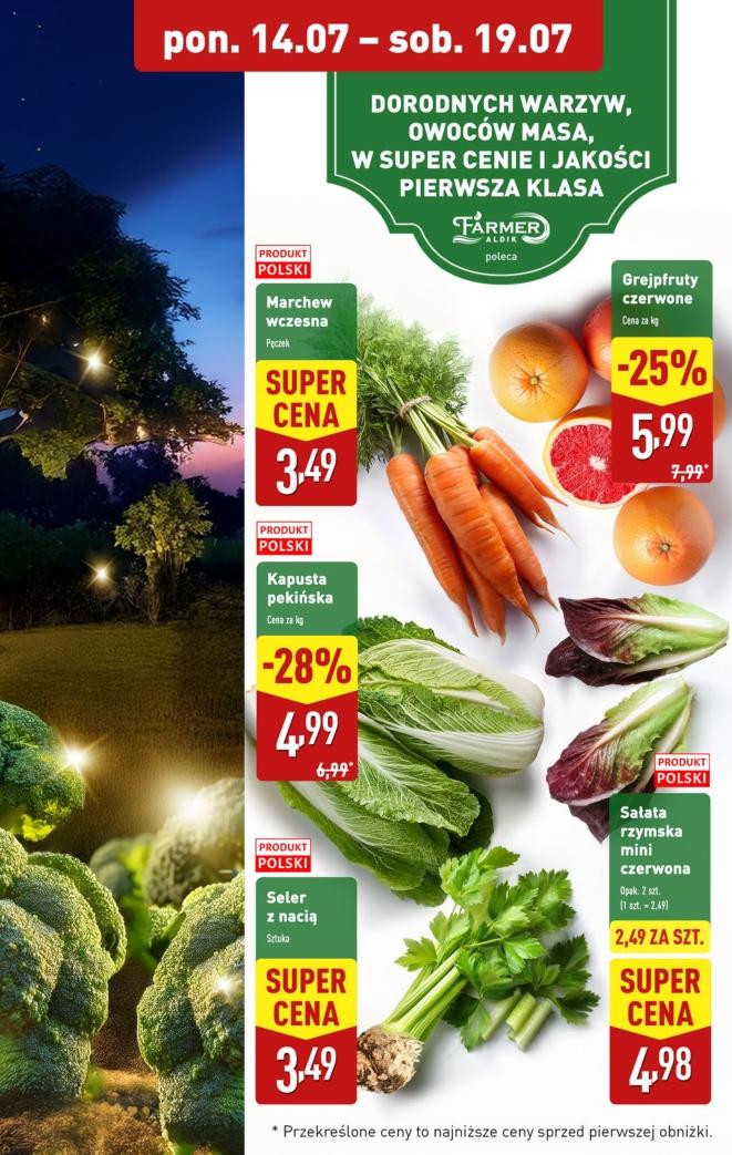 Gazetka promocyjna ALDI do 19/07/2025 str.9