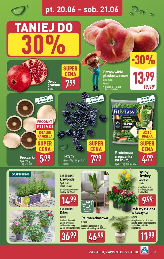 Gazetka promocyjna ALDI do 21/06/2025 str.29