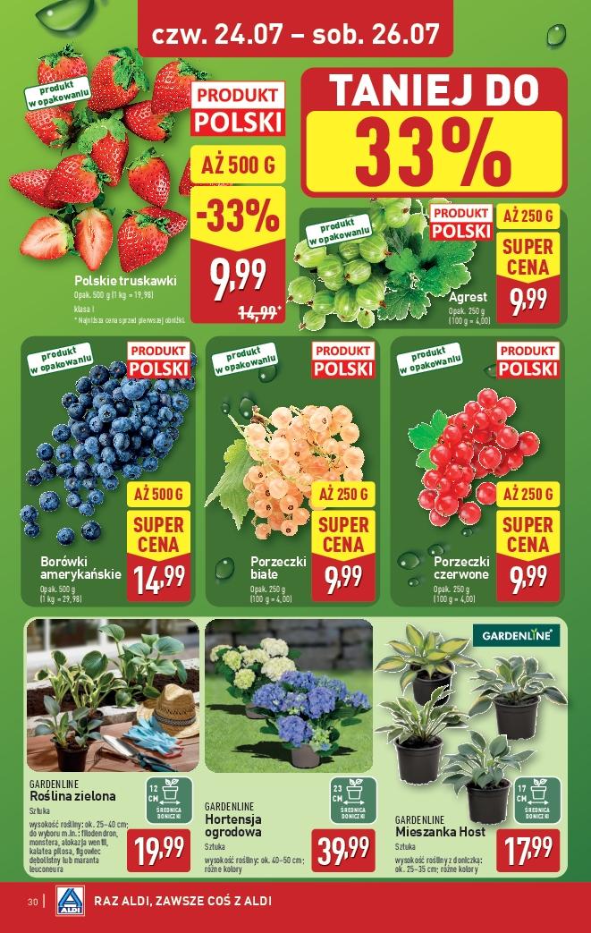 Gazetka promocyjna ALDI do 26/07/2025 str.30