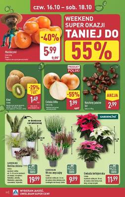 Katalog Aldi 