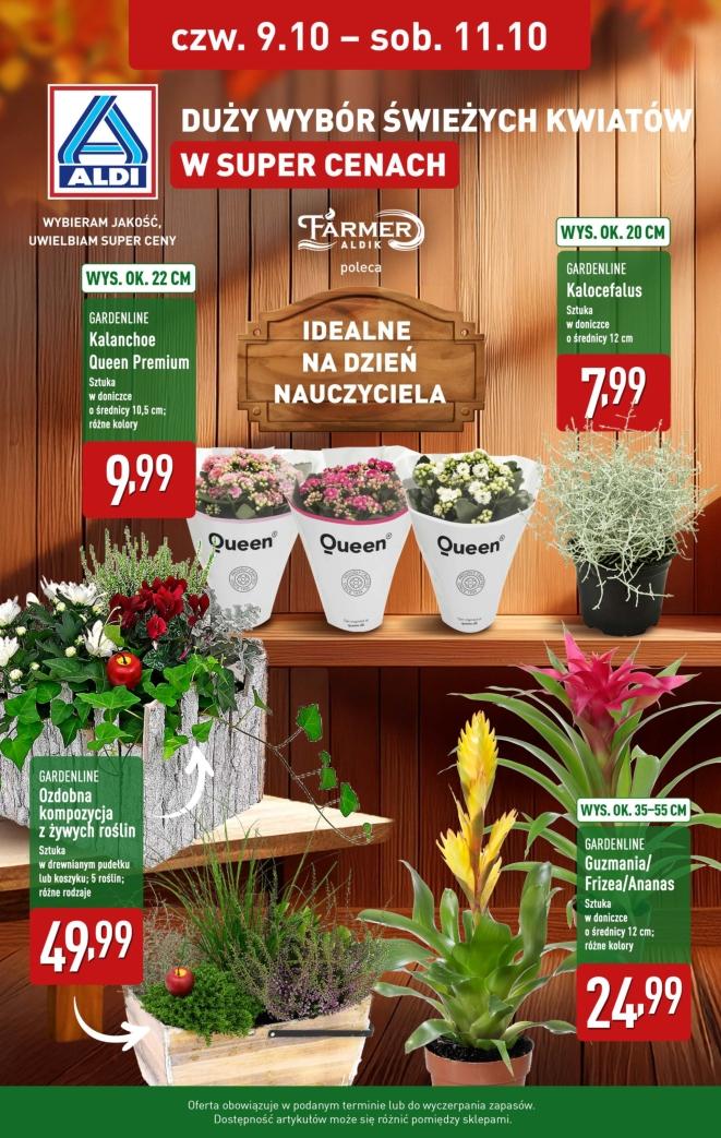 Gazetka promocyjna ALDI do 11/10/2025 str.1