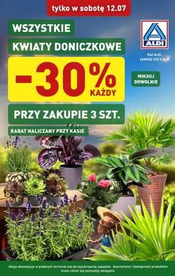 ALDI gazetka - od 12/07/2025 do 12/07/2025