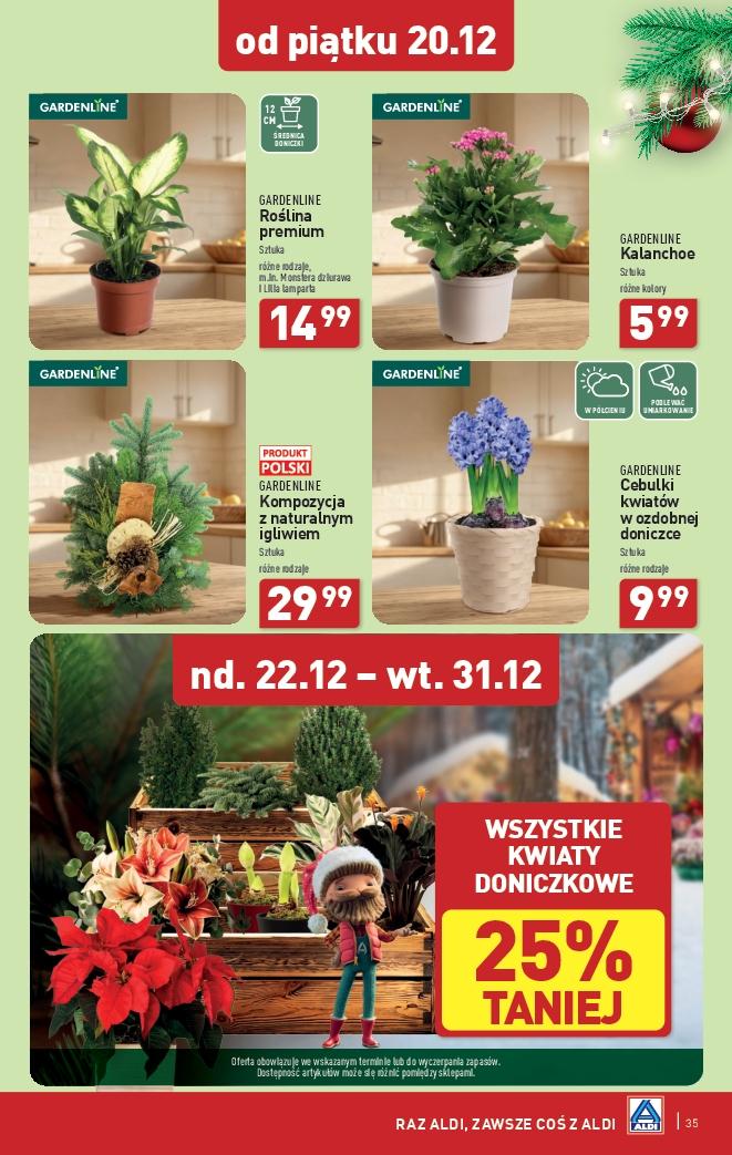 Gazetka promocyjna ALDI do 22/12/2024 str.35