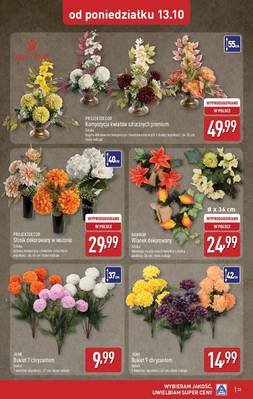Katalog Aldi 