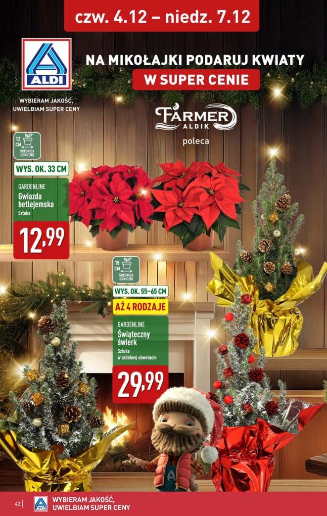 Gazetka promocyjna ALDI do 07/12/2025 str.42